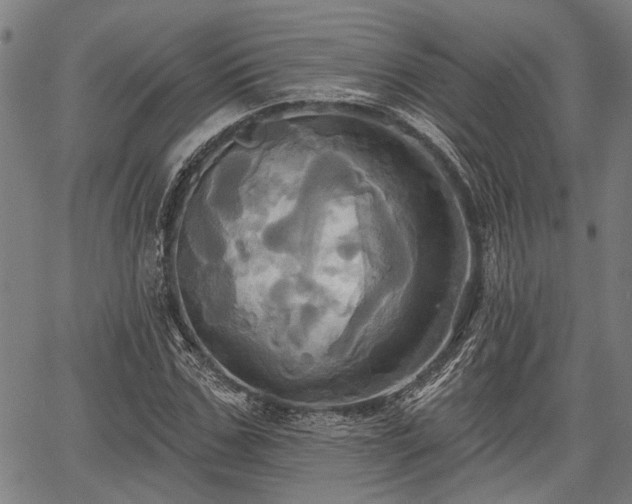 X0000067350971200604030930