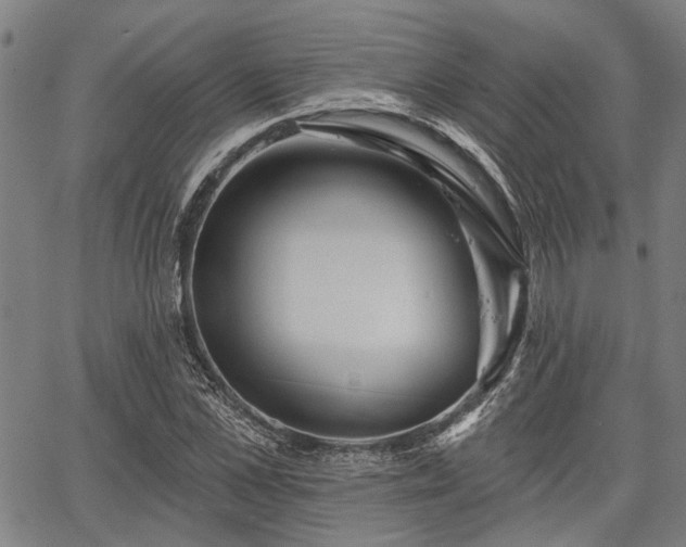 X0000067350973200604030930