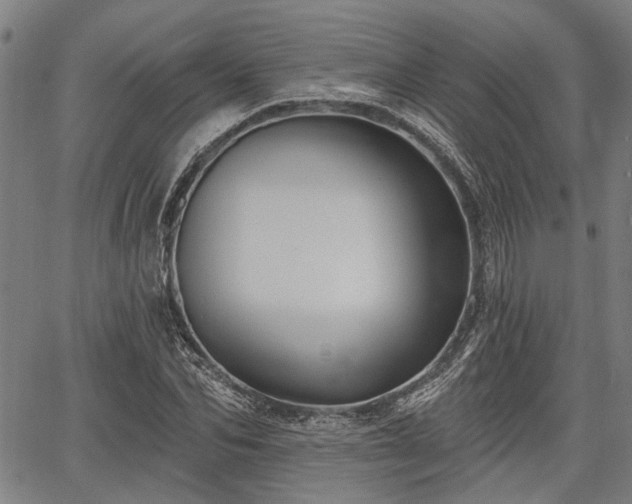 X0000067350974200604030930