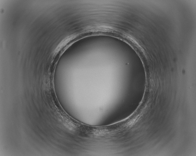 X0000067350978200604030930