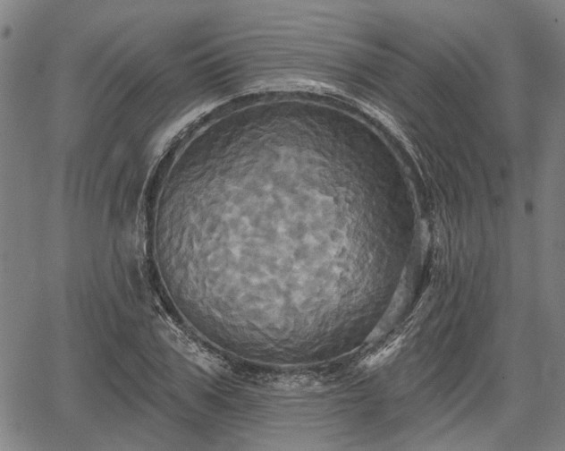 X0000067350979200604030930