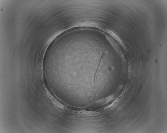 X0000067350980200604030930