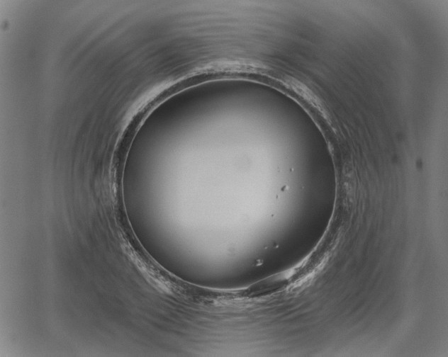 X0000067350981200604030930