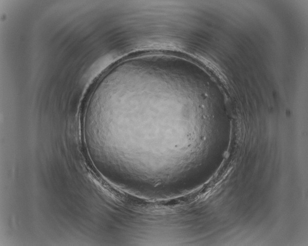 X0000067350982200604030930