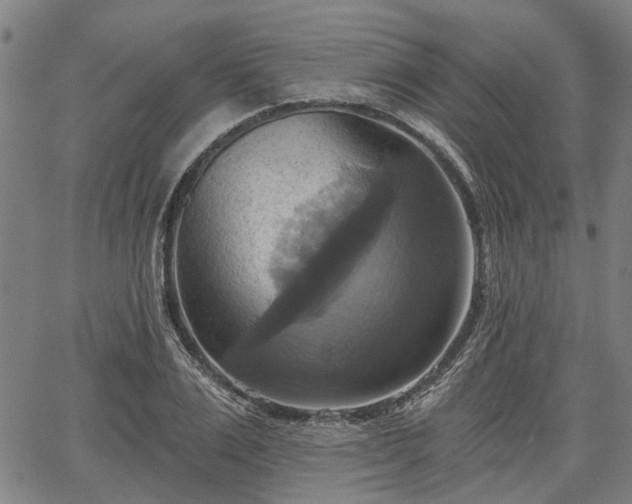 X0000067350983200604030930