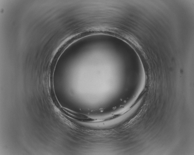 X0000067350984200604030930