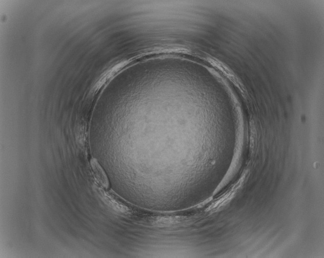 X0000067350985200604030929