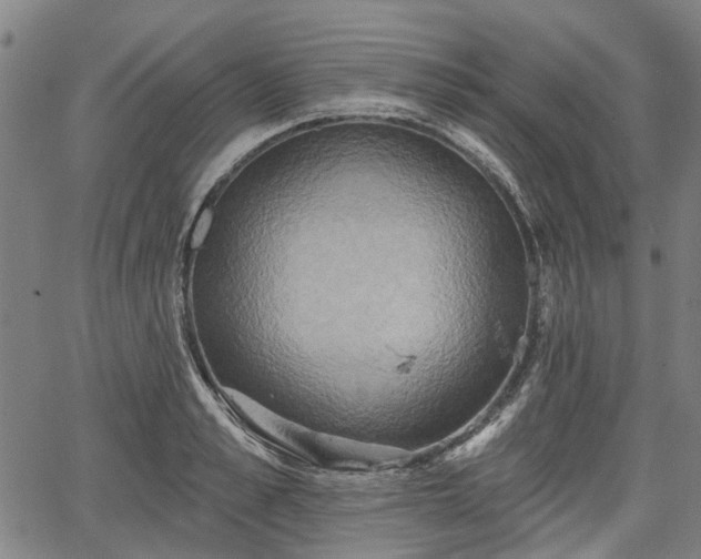 X0000067350989200604030929