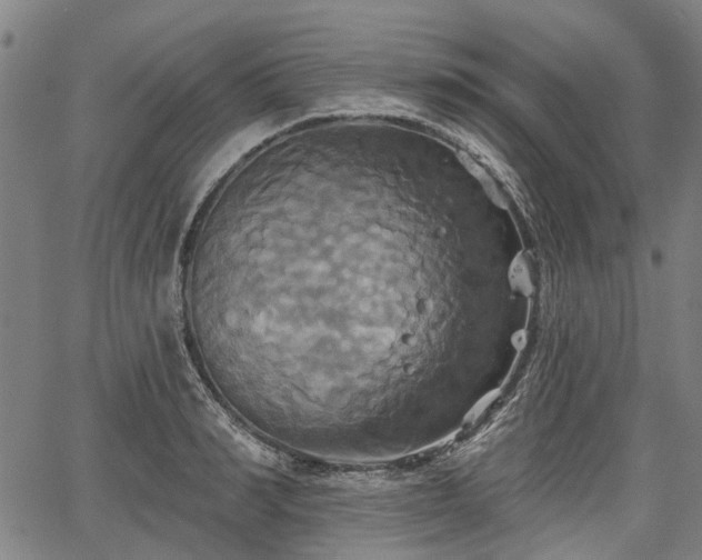 X0000067350990200604030929