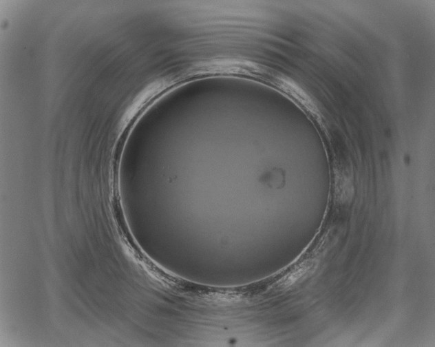 X0000067350994200604030929