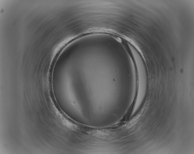 X0000067350995200604030929