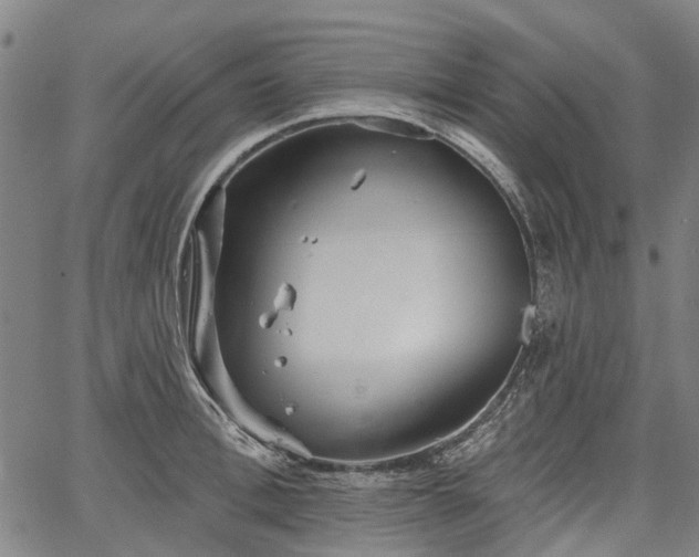 X0000067350996200604030929