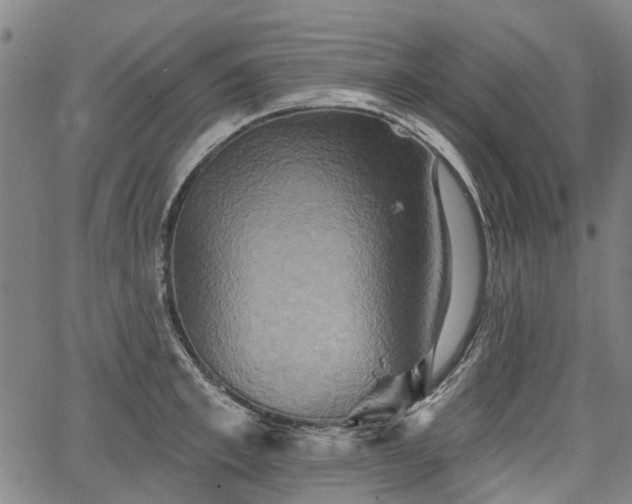 X0000067350997200604030929