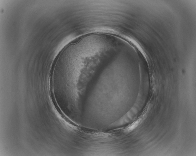 X0000067350999200604030929