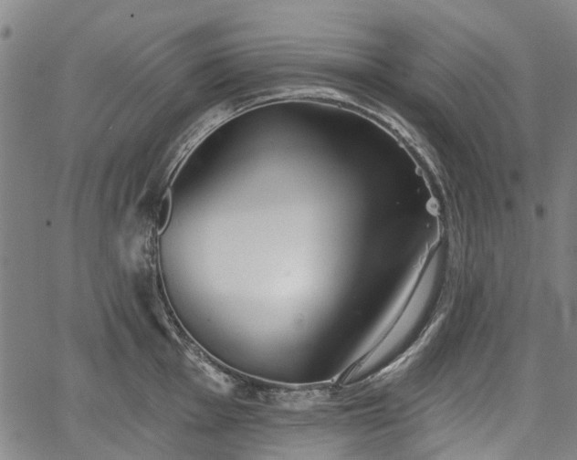 X0000067351001200604030929