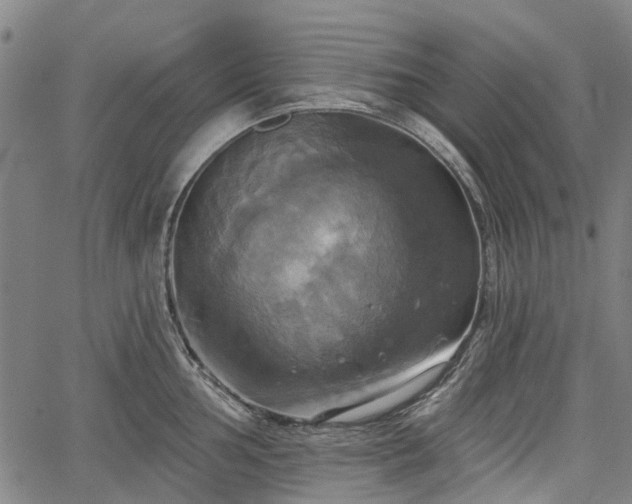 X0000067351002200604030929