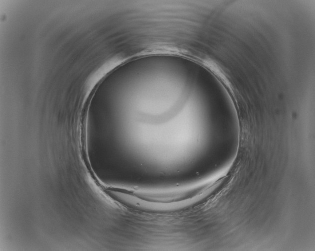 X0000067351003200604030929