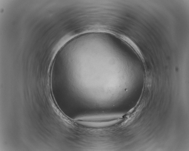 X0000067351004200604030929