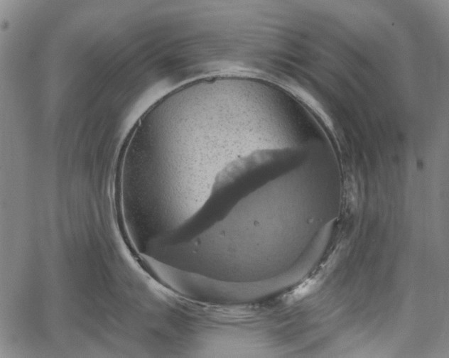 X0000067351007200604030929