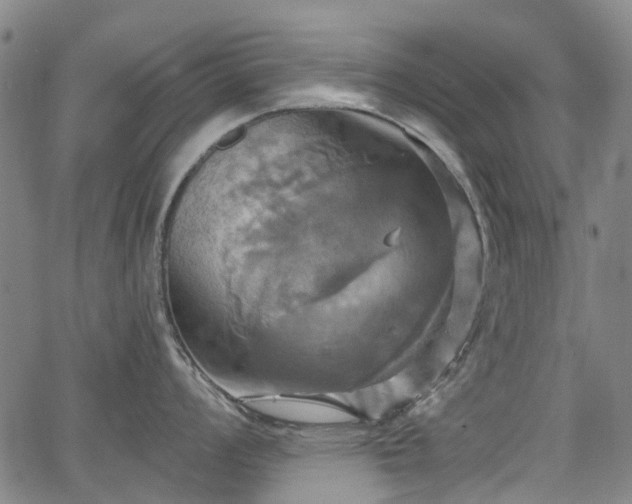 X0000067351008200604030929