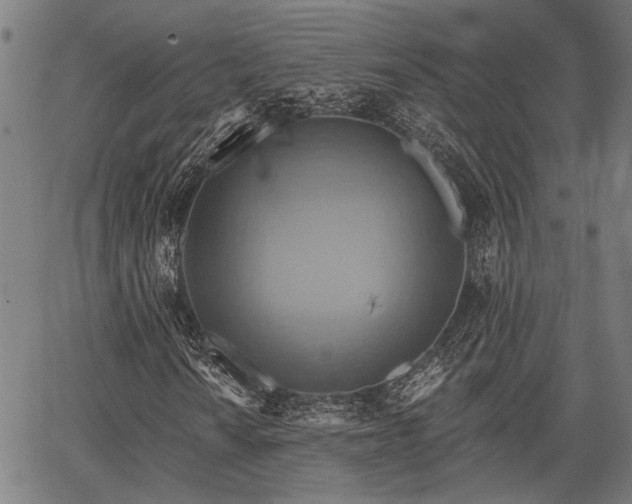 X0000067351010200604030928