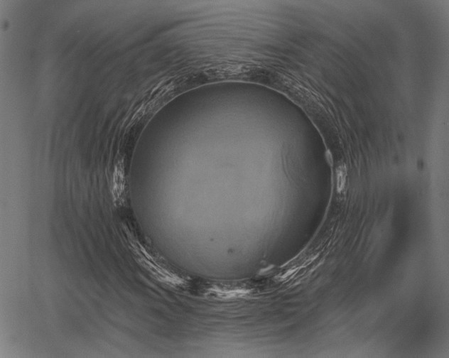 X0000067351011200604030928