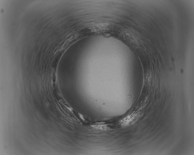 X0000067351012200604030928