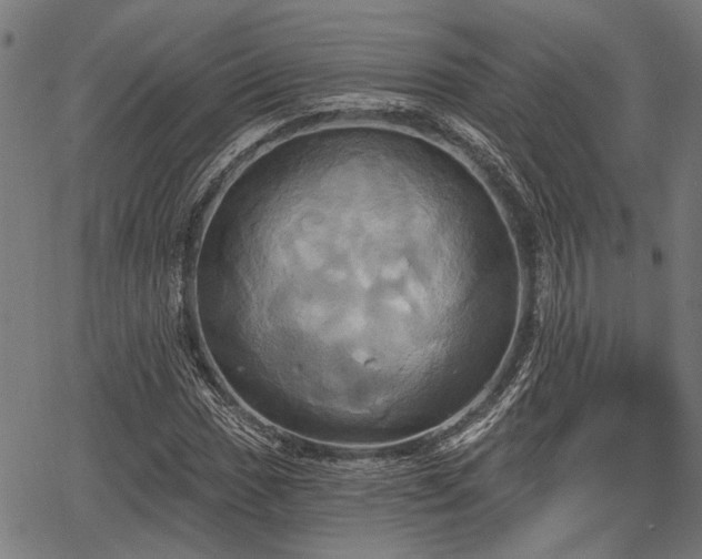 X0000067351017200604030928