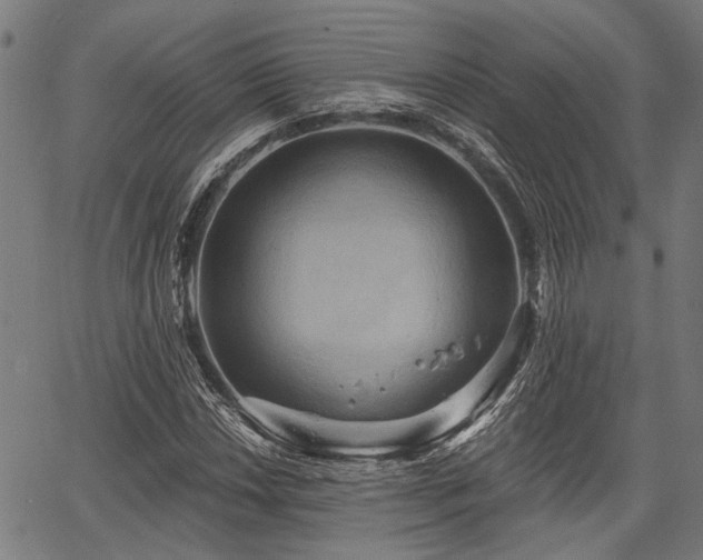 X0000067351018200604030928