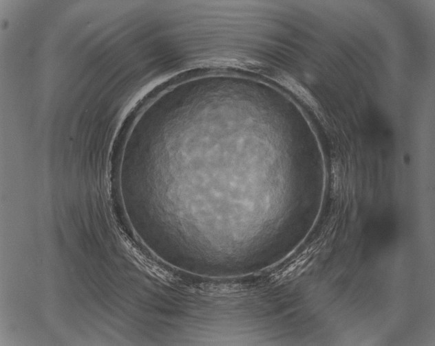 X0000067351020200604030929