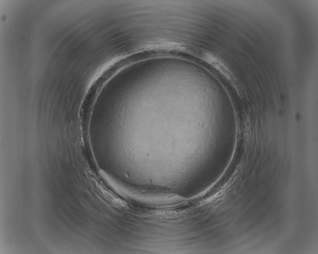 X0000067351022200604030929