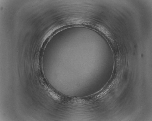 X0000067351023200604030929