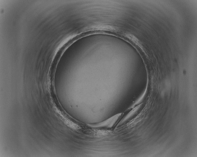 X0000067351024200604030929