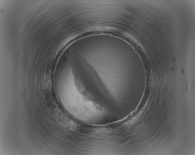 X0000067351025200604030929