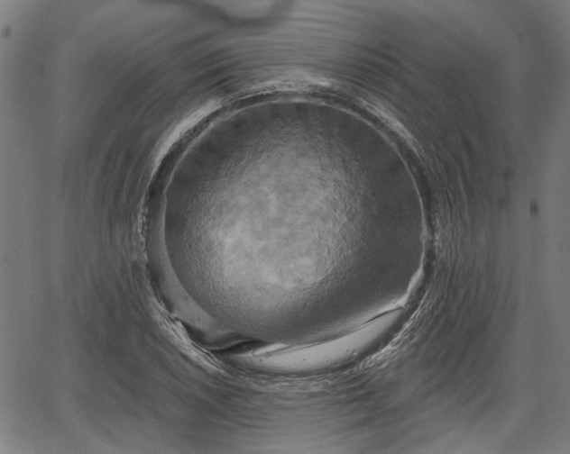 X0000067351026200604030929