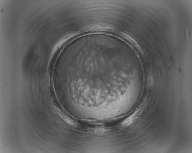 X0000067351027200604030929