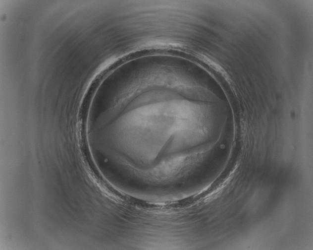 X0000067351029200604030929