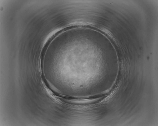 X0000067351030200604030929