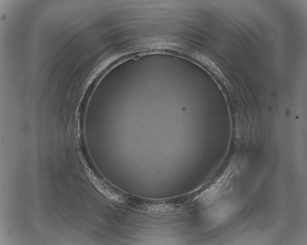 X0000067351031200604030929