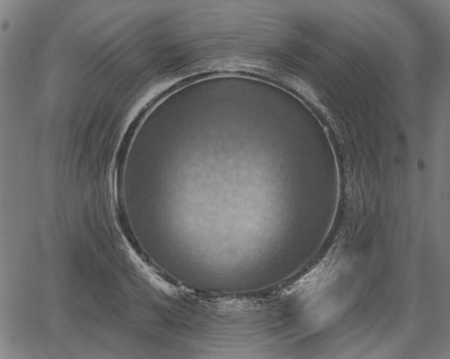 X0000067351032200604030929