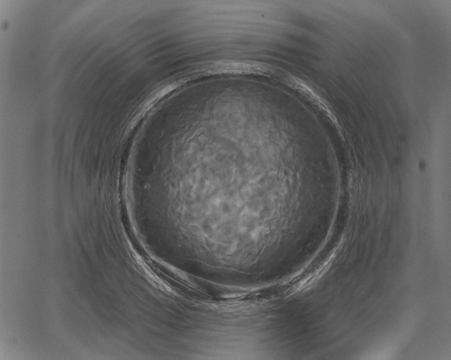 X0000067351033200604030929