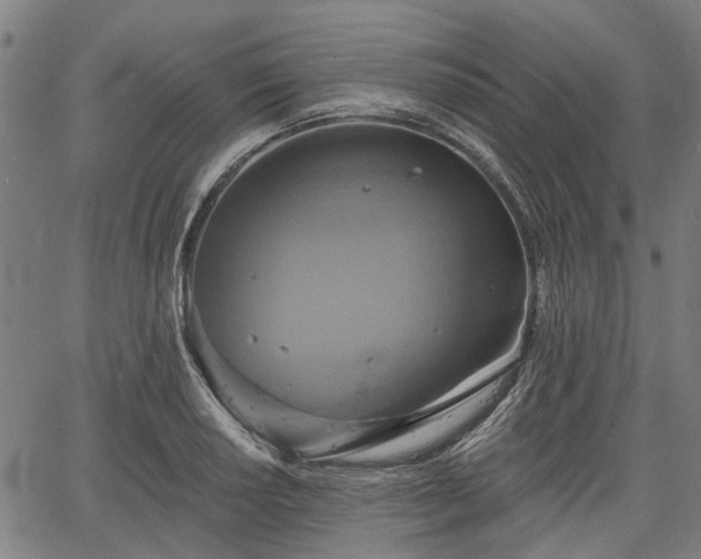 X0000067351034200604030929