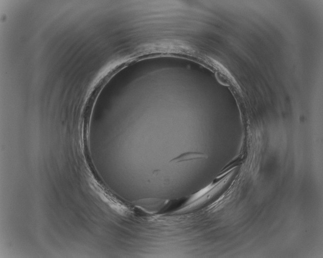 X0000067351035200604030929