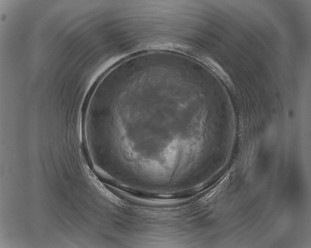 X0000067351036200604030929