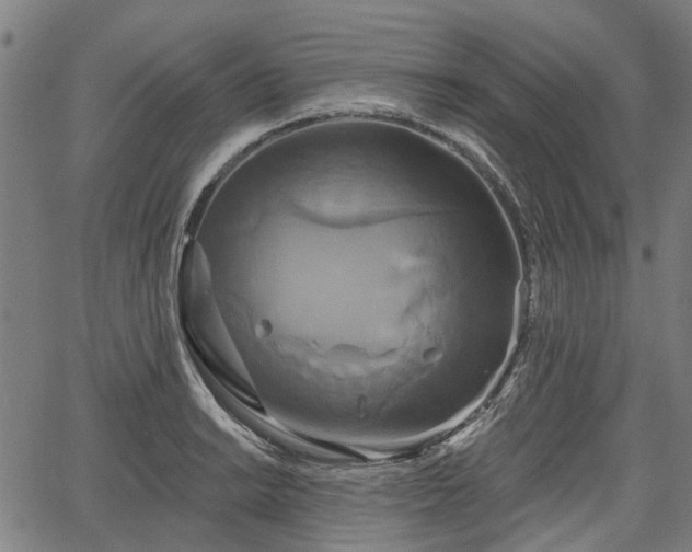 X0000067351038200604030929