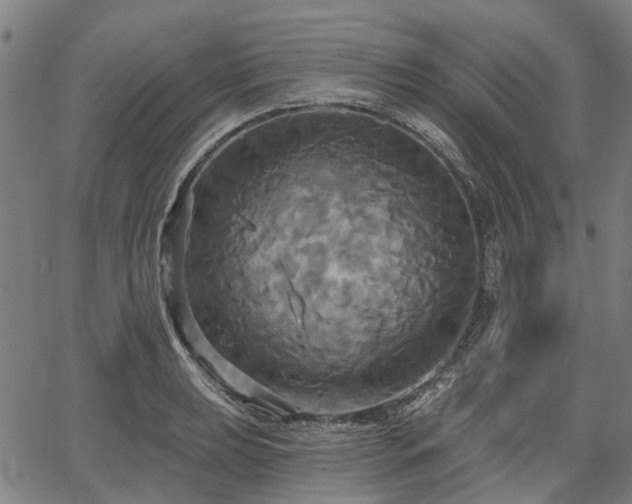 X0000067351039200604030929