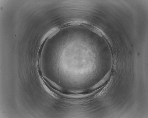 X0000067351042200604030929