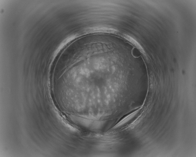 X0000067351043200604030929