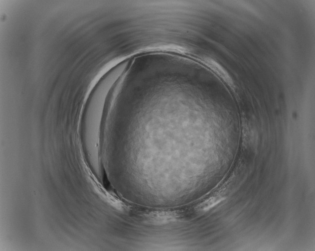 X0000067351044200604030929