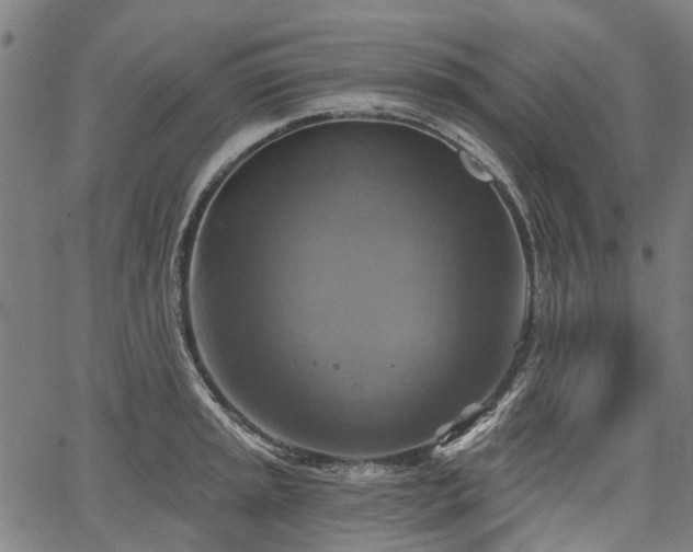 X0000067351045200604030929